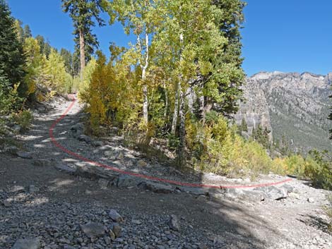 Cathedral Rock Trail