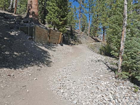 Cathedral Rock Trail