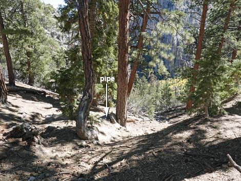 Cathedral Rock Trail