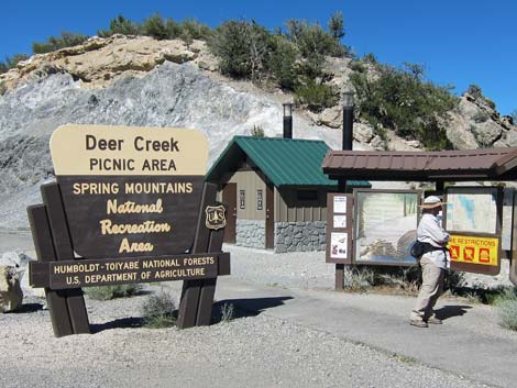 Deer Creek