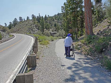 Deer Creek Trail