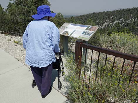 Desert View Overlook Trail