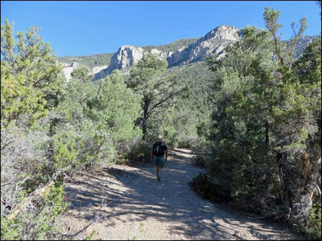 Eagle's Nest Loop Trail