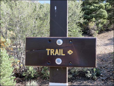 Eagle's Nest Loop Trail