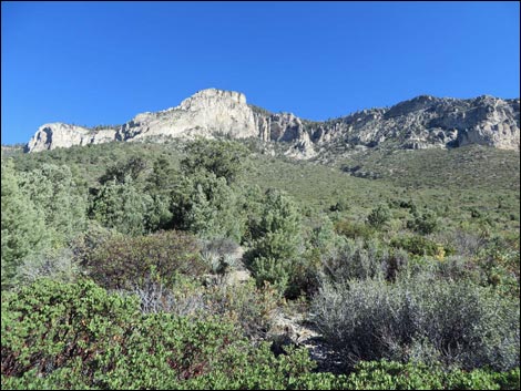 Eagle's Nest Loop Trail