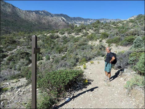 Eagle's Nest Loop Trail