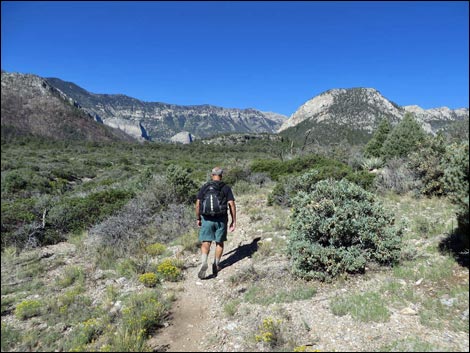 Eagle's Nest Loop Trail