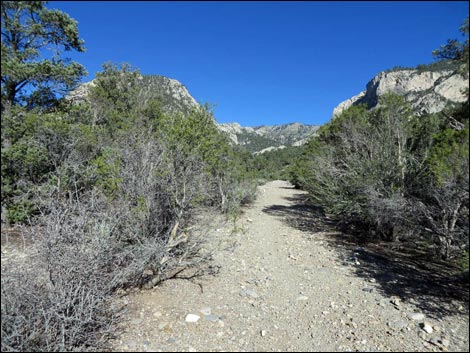 Eagle's Nest Loop Trail