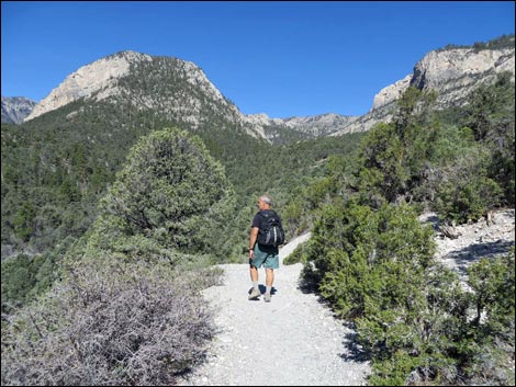 Eagle's Nest Loop Trail