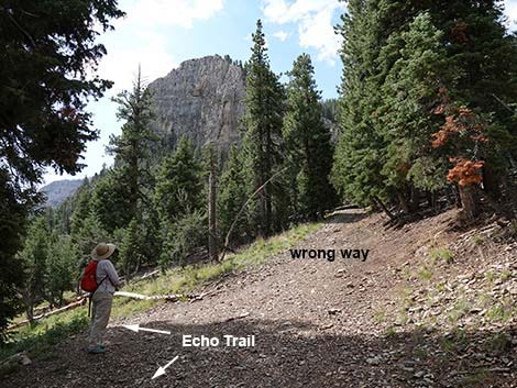 Echo Trail