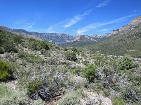 Escarpment Trail