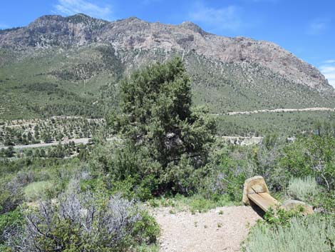 Escarpment Trail