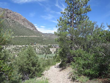 Escarpment Trail