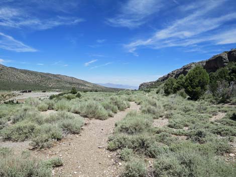 Escarpment Trail