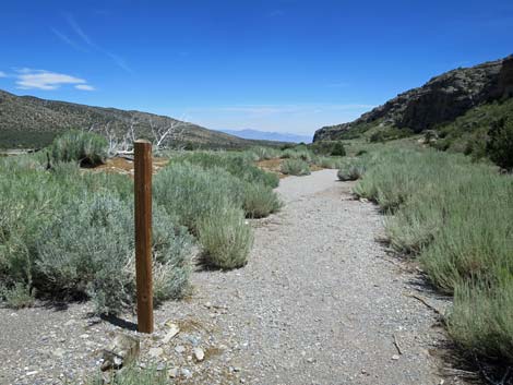 Escarpment Trail