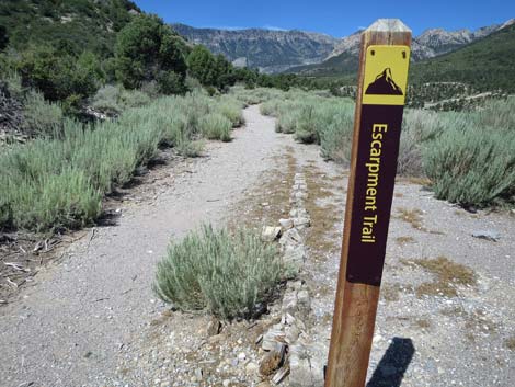 Escarpment Trail