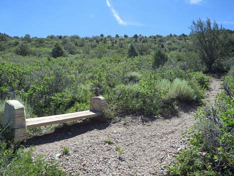 Escarpment Trail