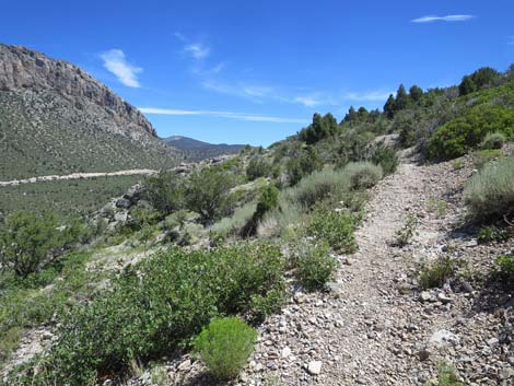 Escarpment Trail