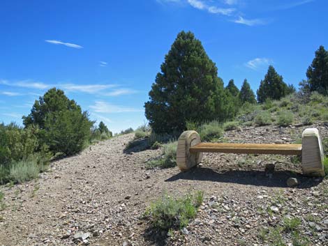 Escarpment Trail