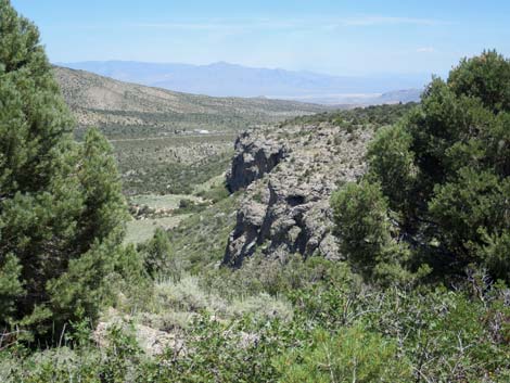 Escarpment Trail