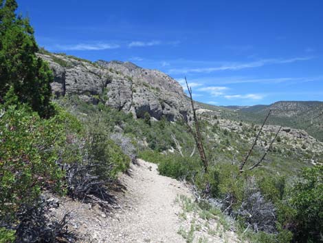 Escarpment Trail