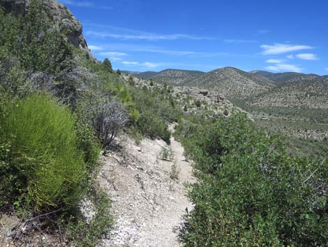 Escarpment Trail