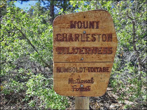 Fletcher Canyon Trail