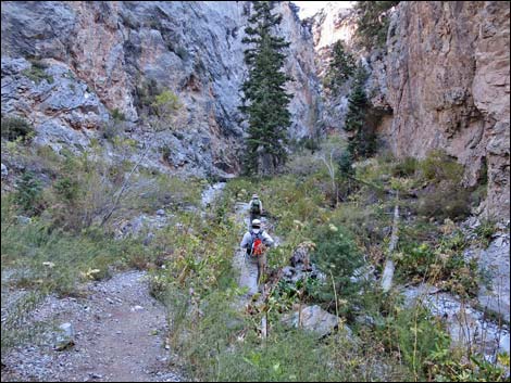 Fletcher Canyon Trail