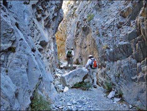 Fletcher Canyon Trail