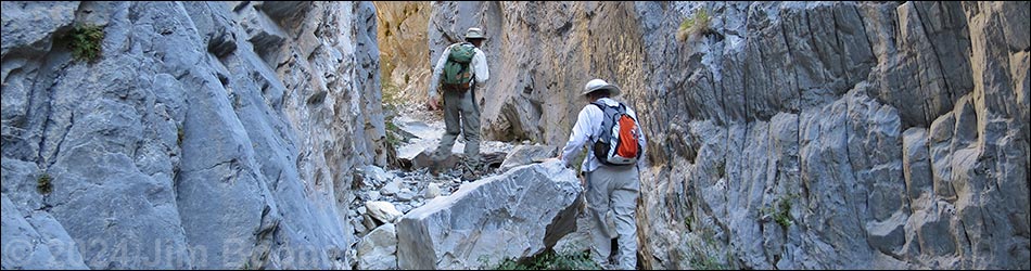 Fletcher Canyon Trail