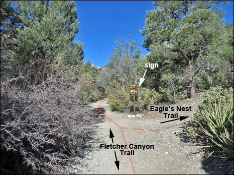 Fletcher Canyon Trail