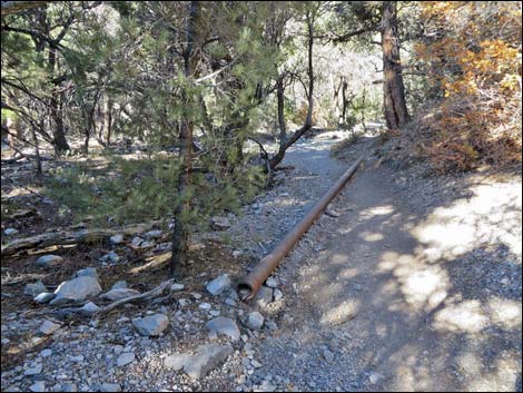 Fletcher Canyon Trail