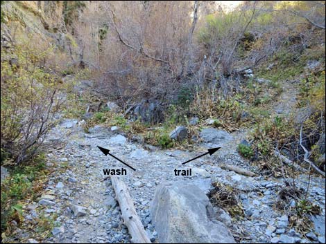 Fletcher Canyon Trail