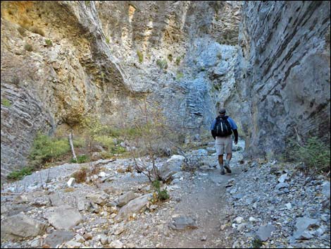 Fletcher Canyon Trail