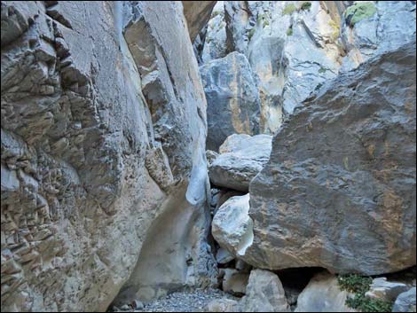 Fletcher Canyon Trail