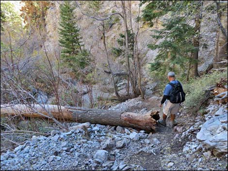 Fletcher Canyon Trail