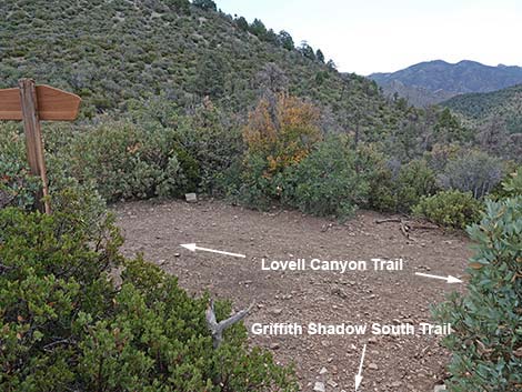 Griffith Shadow South Trail