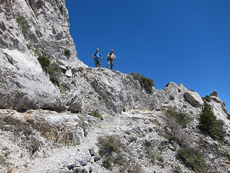 Griffith Peak Trail