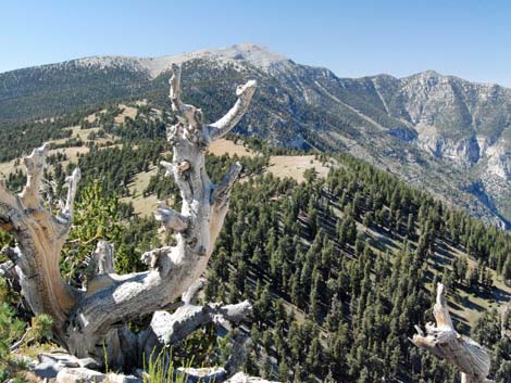 Griffith Peak