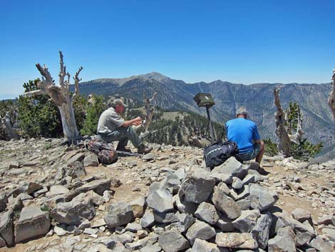 Griffith Peak Trail