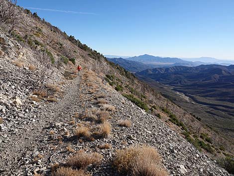 Harris Saddle Trail