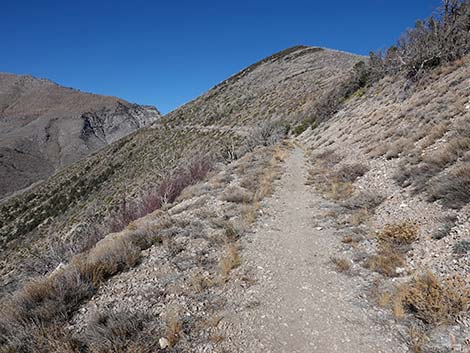 Harris Saddle Trail