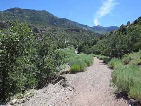 Escarpment Trail