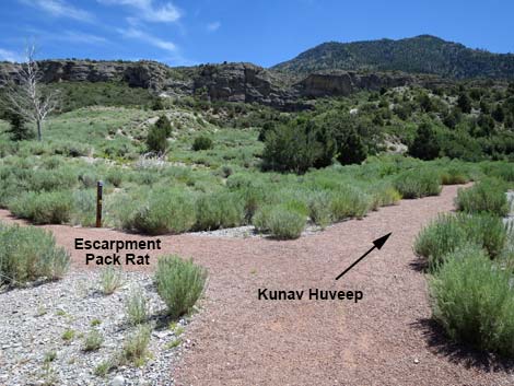 Kunav Huveep Trail