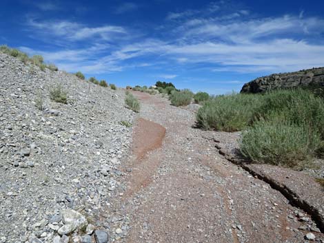 Kunav Huveep Trail