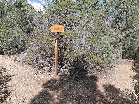 Lovell Canyon Trail