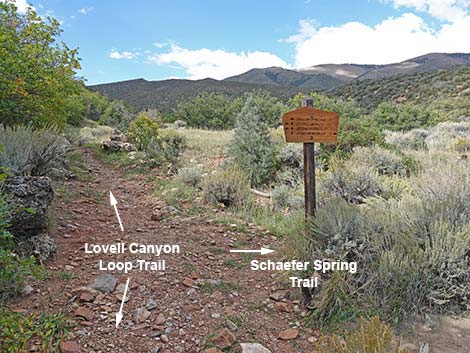 Lovell Canyon Trail