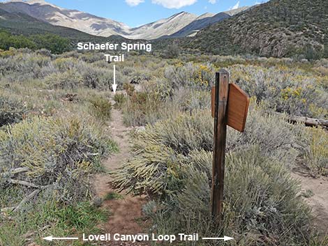 Lovell Canyon Trail