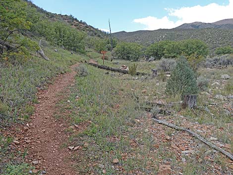 Lovell Canyon Trail