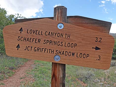 Schaefer Spring Trail